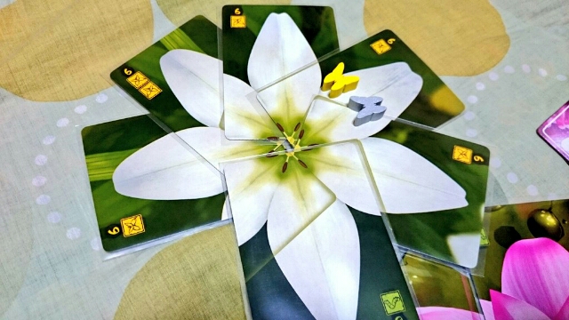 20161227230329807.jpg
