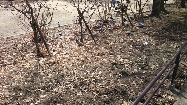 20170301213808694.jpg